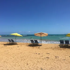 Blue Leaf By The Sea , Luquillo Puerto Rico